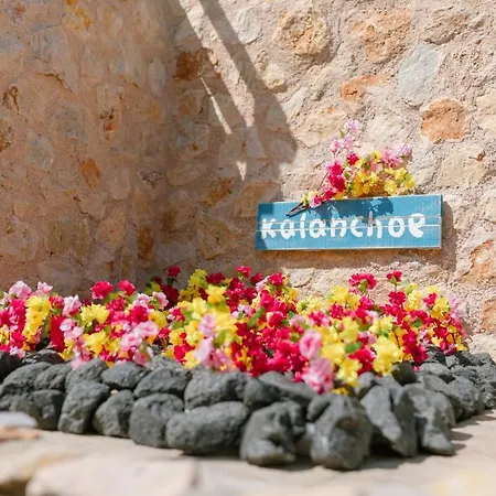 Antheia Karterados (Santorini)