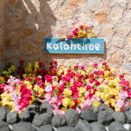 Antheia * Karterados (Santorini)